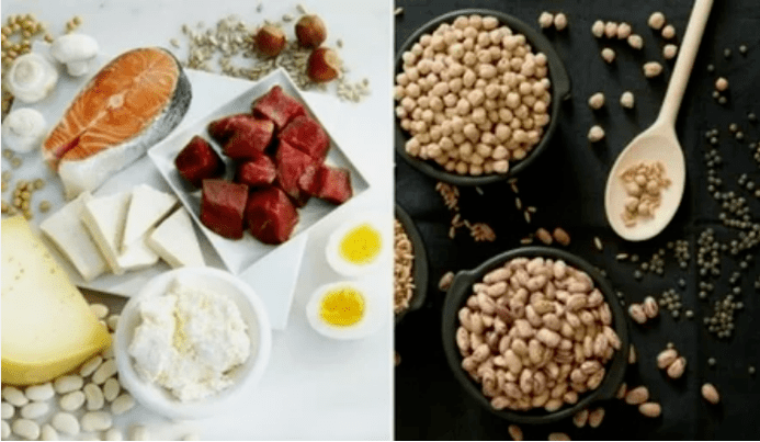 Ejemplos de productos de dieta de proteínas
