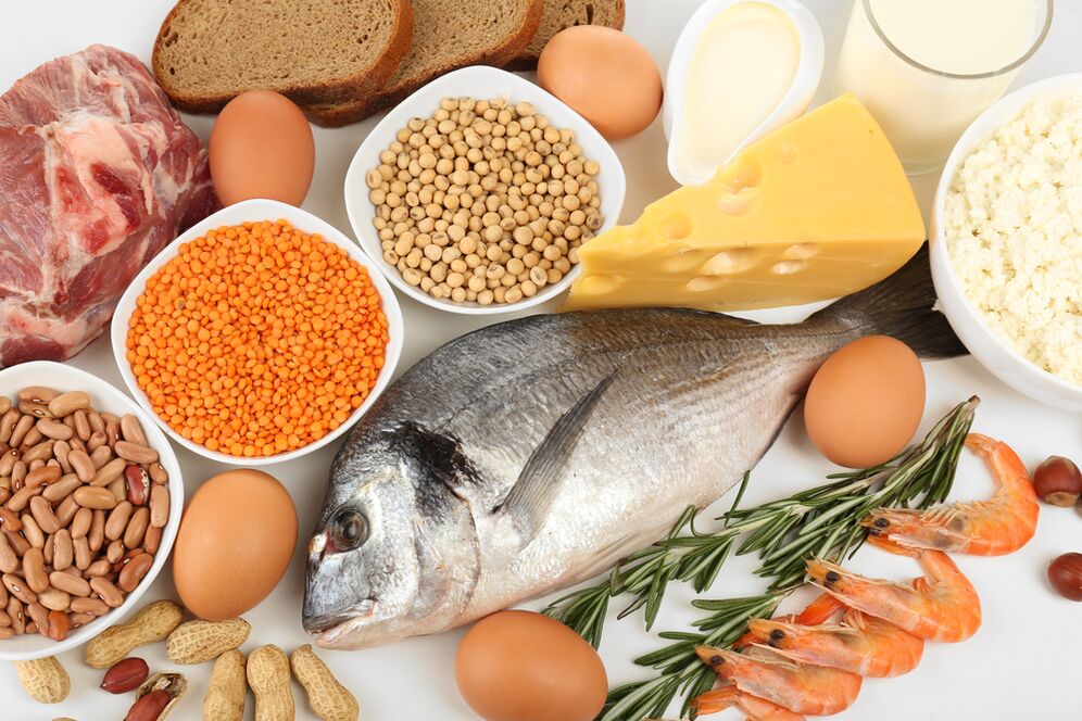 caracteristicas de la dieta proteinada